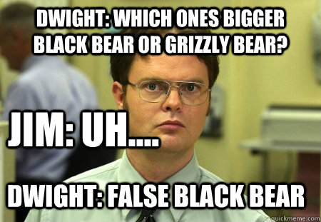 false black bear meme