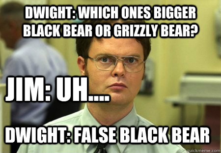 dwight schrute meme template